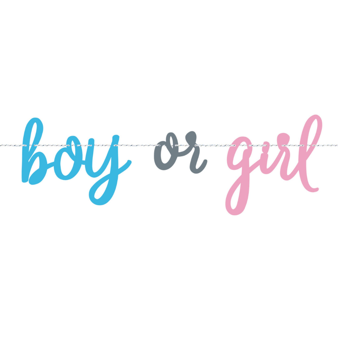 Boy or Girl Gender Reveal Banner - 7ft